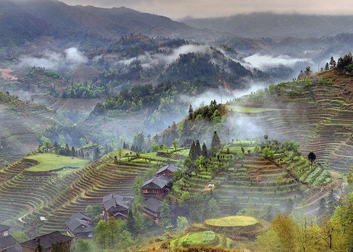 روستایی بر روی شالیزارهای برنج
