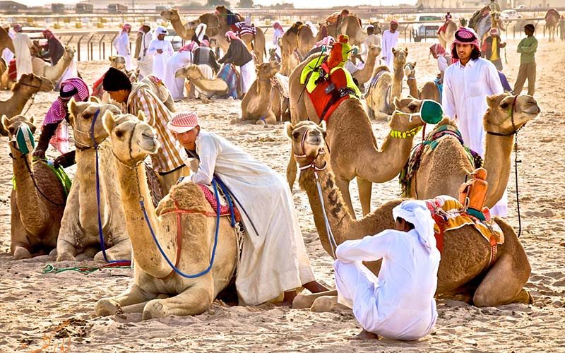 اطلاعات کلی کشور قطر اطلاعات کلی کشور قطر