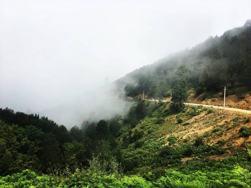 هلو دشت املش با ابر های هلویی رنگ - جنگل ابر در ایران - الی گشت