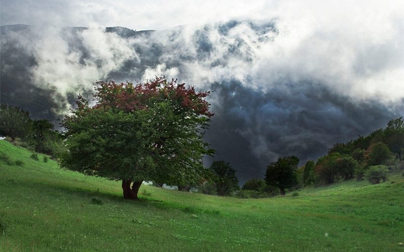 جنگل ابر در میان ابرها جنگل ابر در میان ابرها