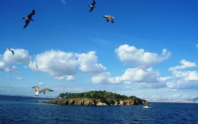 جزایر استانبول جزایر استانبول