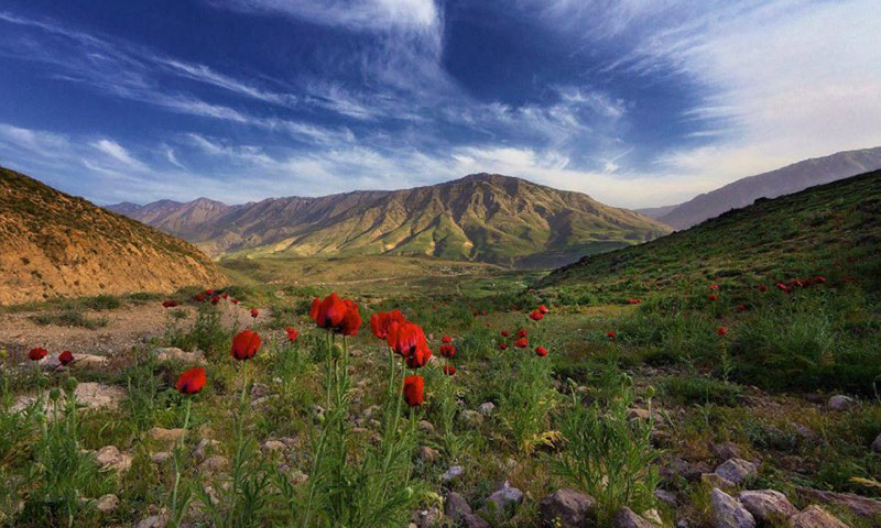 پارک ملی لار در همسایگی دماوند