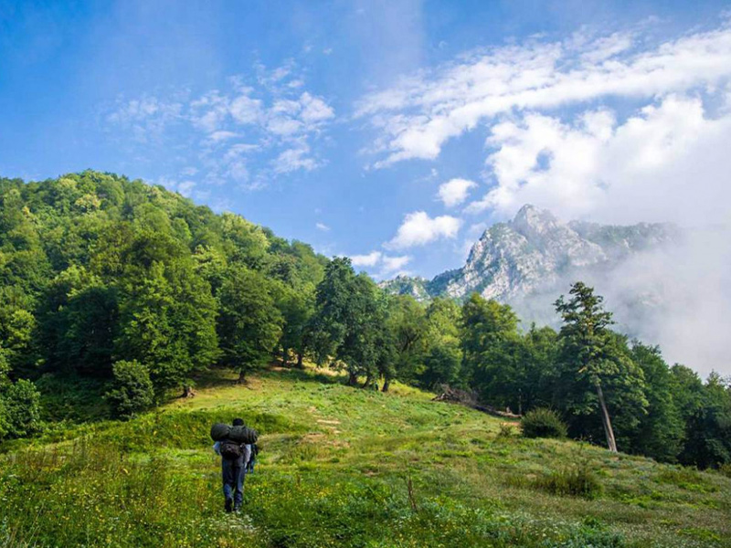 برای حظور در میان ابر ها این نکات را حفظ کنید - جنگل ابر در ایران - الی گشت