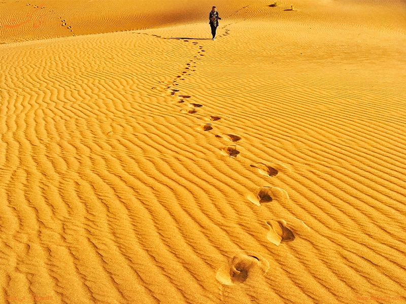 کویر مرنجاب - الی گشت