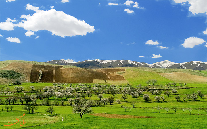 کردستان