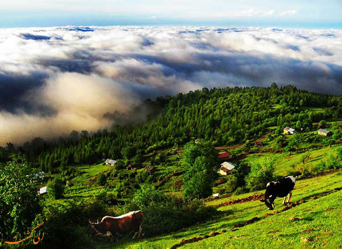 روستای مازیچال