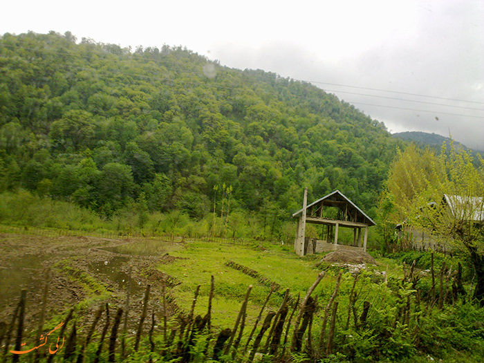طبیعت زیبای سیاهکل