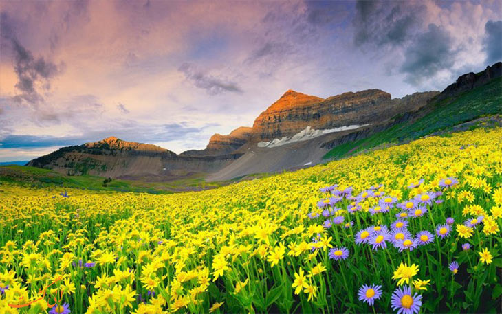 مناظر زیبای آسیا
