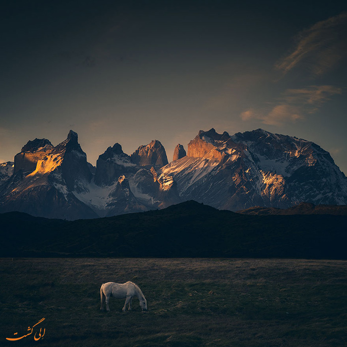 عکس پاتاگونیا عکس پاتاگونیا