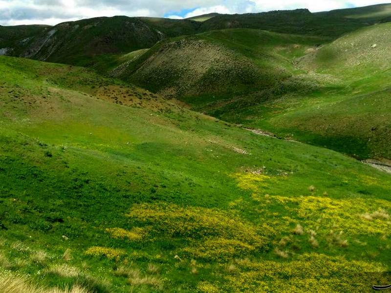 طبیعت و جغرافیا چالدران 