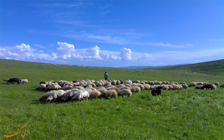 دشت چالدران