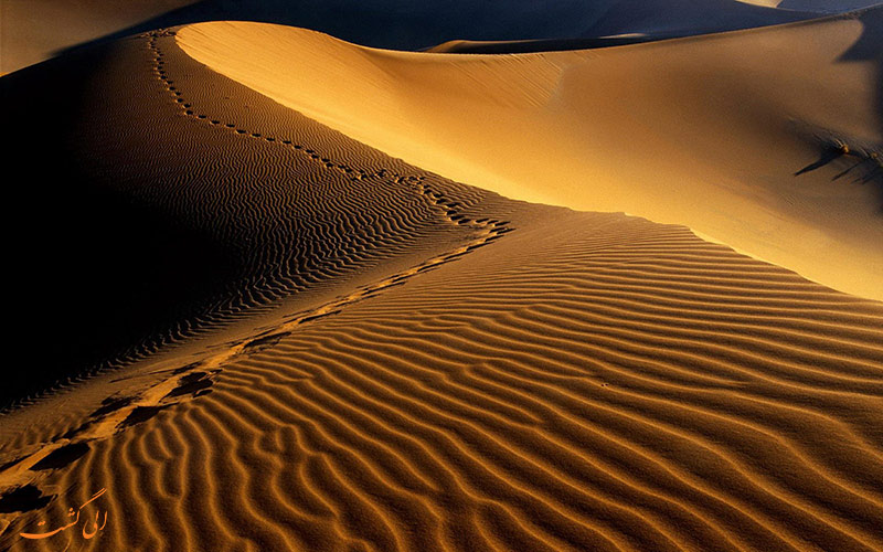 عکس کویر مصر عکس کویر مصر