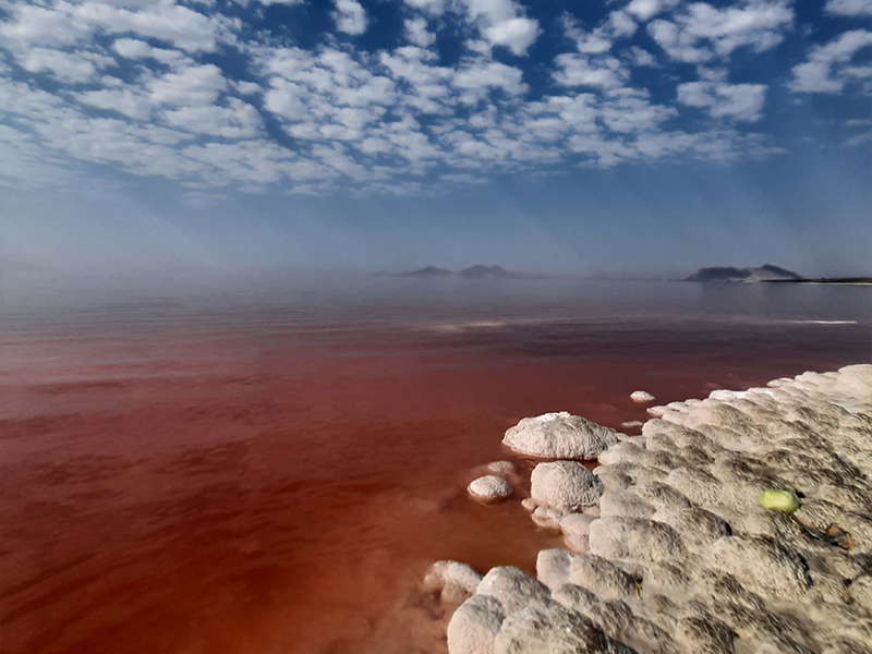 قرمزی دریاچه ارومیه
