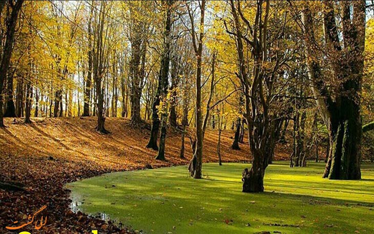 مرداب زیبای هسل در چالوس