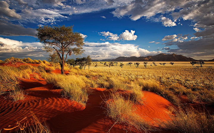 سرزمین نامبیا