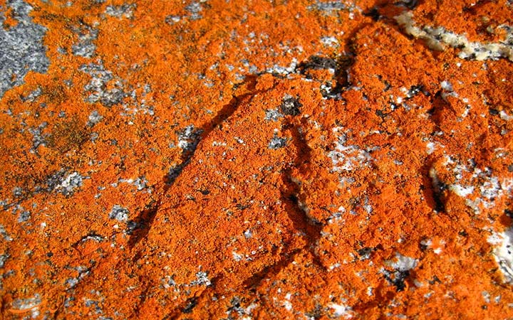 رنگ نارنجی صخره ها