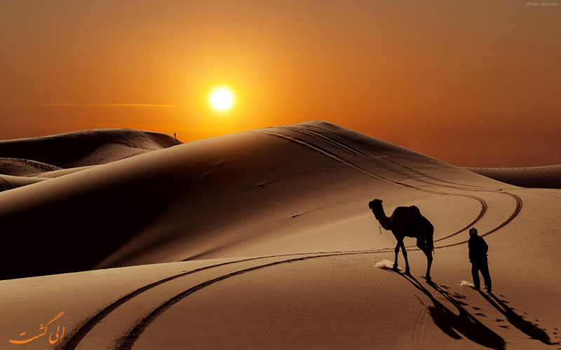 کویر مصر کجاست؟ هفت گرد