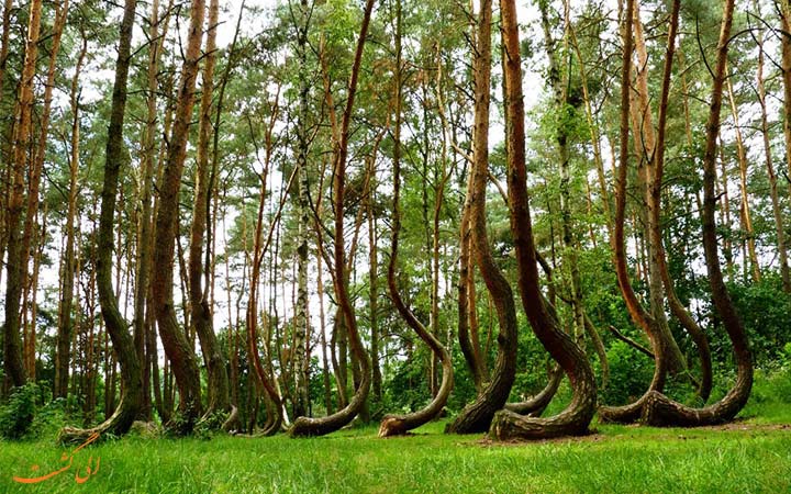 معماهای گردشگری معماهای گردشگری