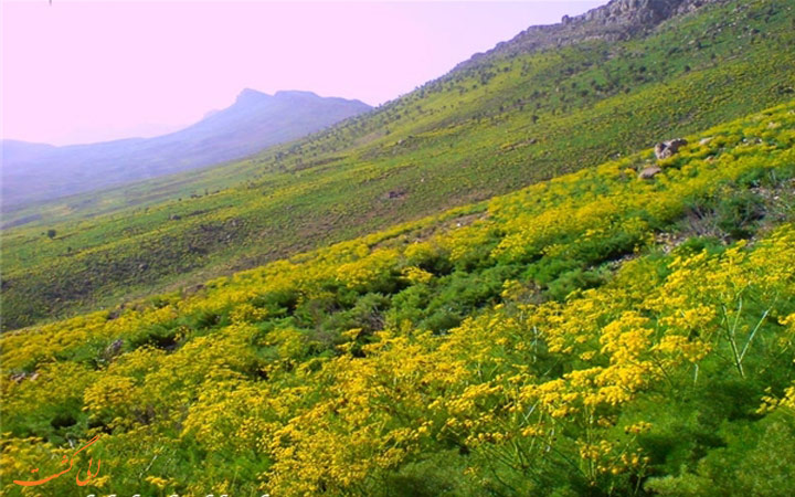 کهگیلویه و بویر احمد کهگیلویه و بویر احمد