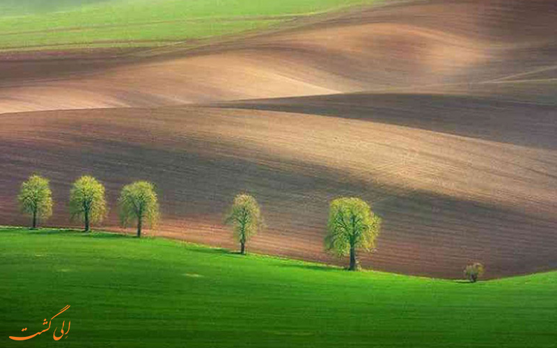 دشت های سرسبز