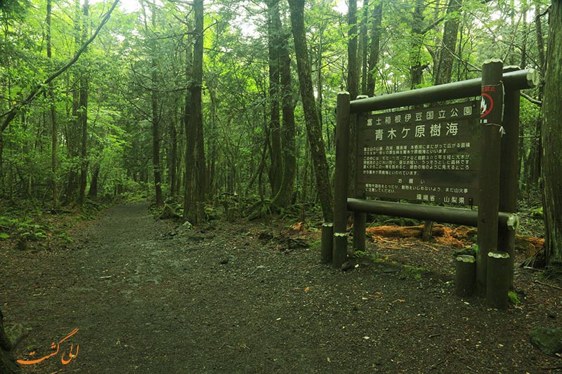 جنگل آئوکی گاهارا