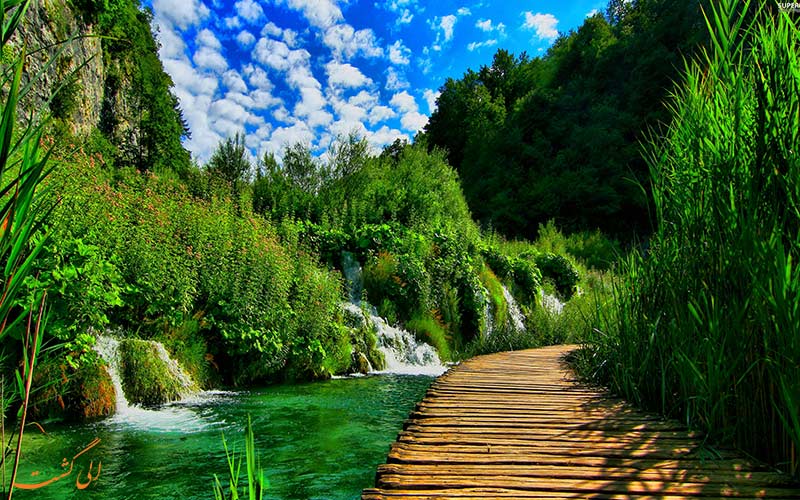 پارک ملی پارک ملی