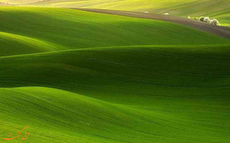 دشت های سبز