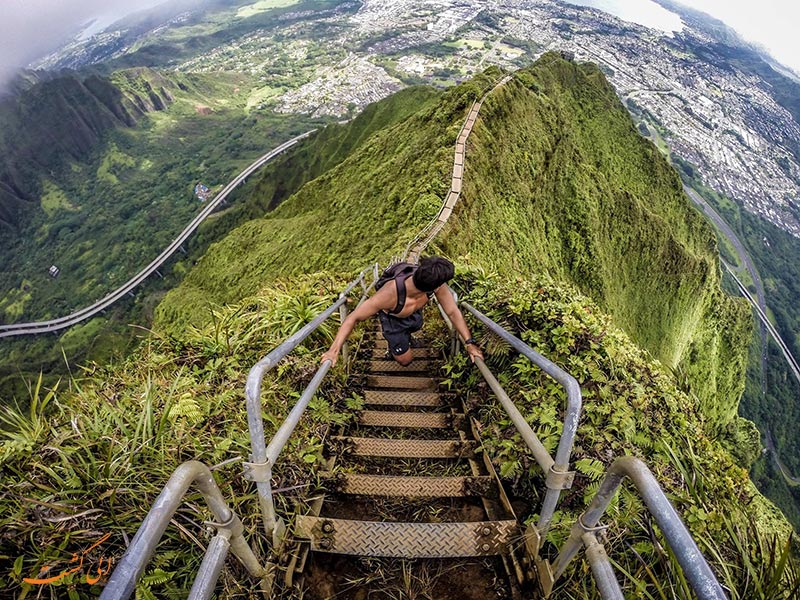 عکس پله های هایکو در هاوایی