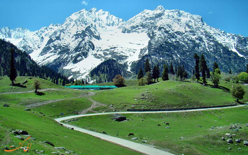 کشمیر کشمیر