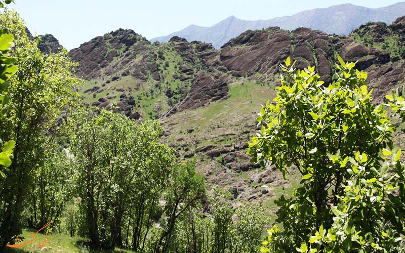پارک جنگلی مخمل کوه پارک جنگلی مخمل کوه