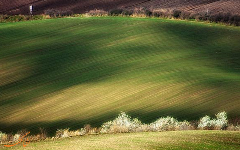 چمنزارهای دشت اروپا