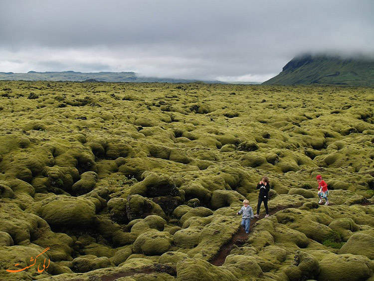 گردش در زمین های خزه ای ایسلند
