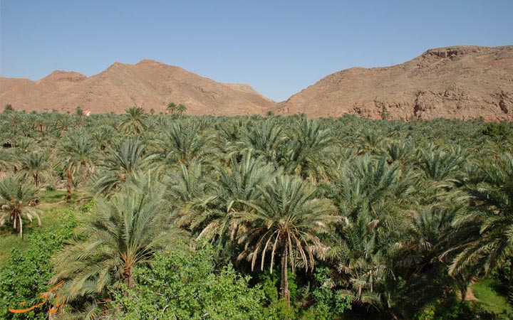 جاذبه‌های گردشگری خور و بیابانک