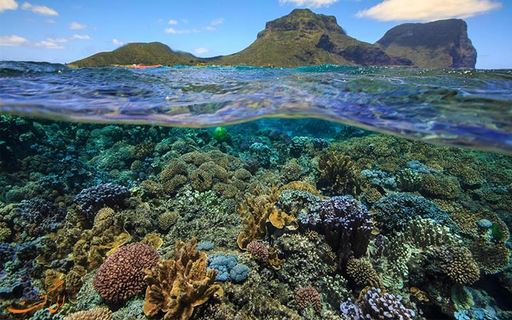 جزیره لورد هاوو، استرالیا