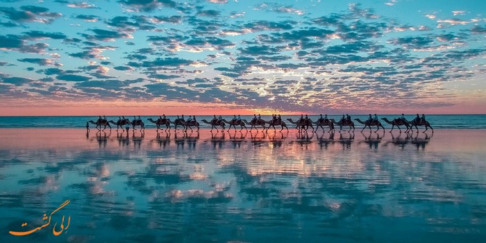 شتر سواری در ساحل غرب استرالیا