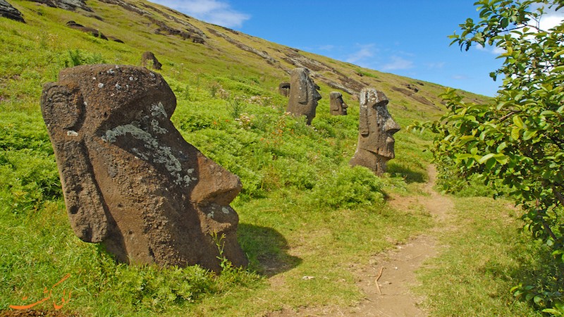 عکس مجسمه های جزیره ایستر