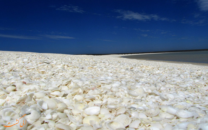 ساحل صدف در استرالیا