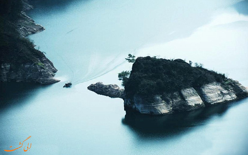 جزیره لاک پشتی در چین