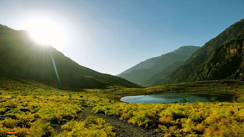 کوه گل کوه گل