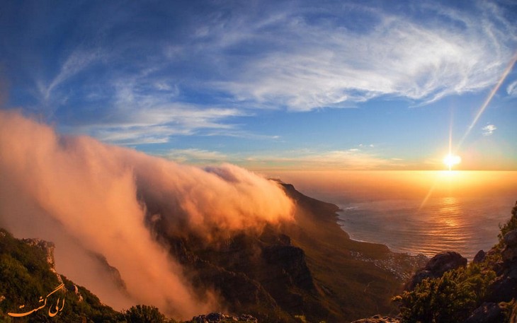 south-africa-first