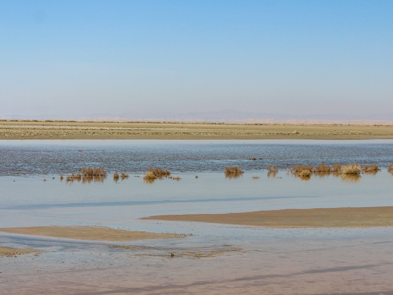 تالاب گاوخونی