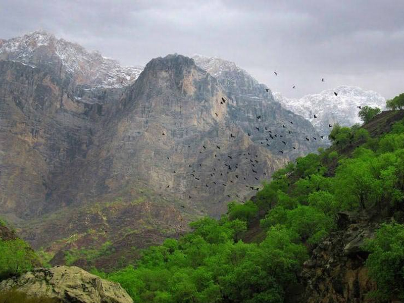 دره عشق کجاست؟ - الی گشت