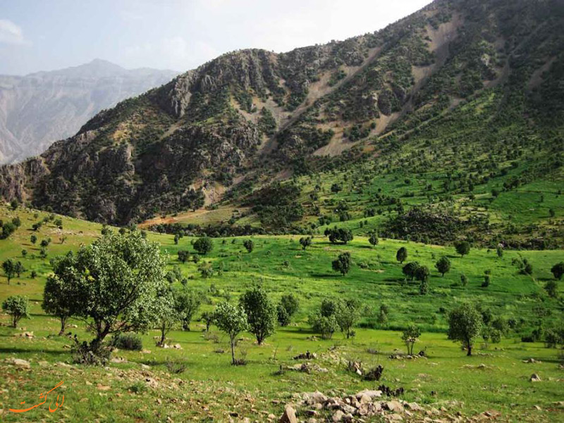 طبیعت دره عشق چهارمحال بختیاری طبیعت دره عشق چهارمحال بختیاری