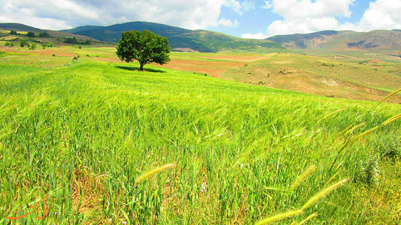 روستای دیلمان گیلان روستای دیلمان گیلان