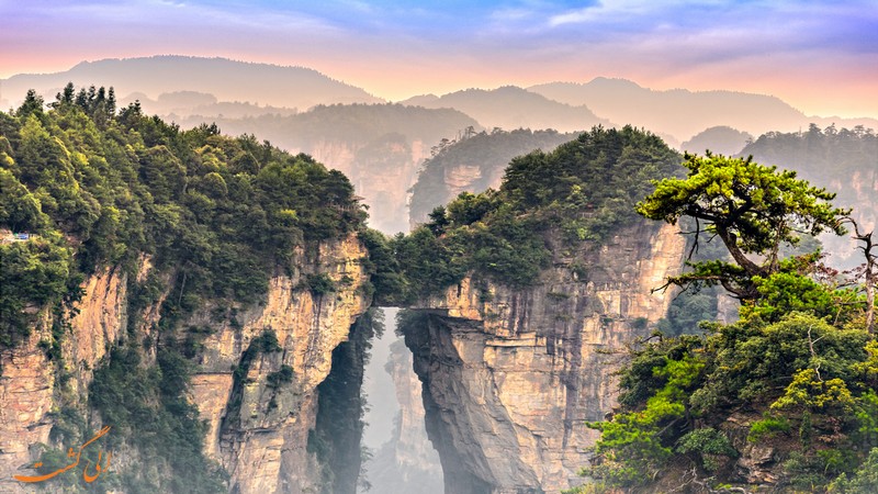پارک جنگلی Zhangjiajie پارک جنگلی Zhangjiajie