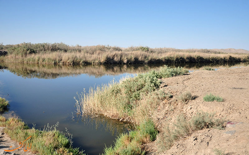 تالاب