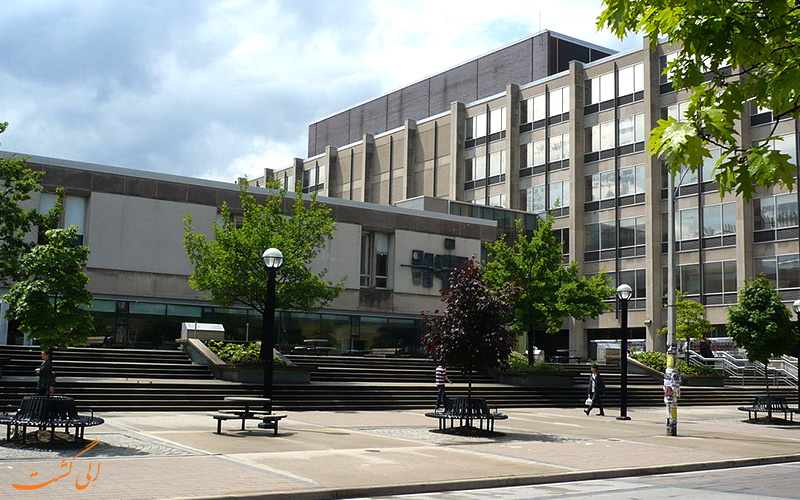 دانشگاه تورنتو