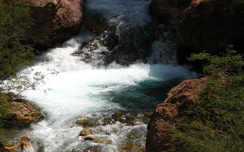 چشمه وگل روستای هیر