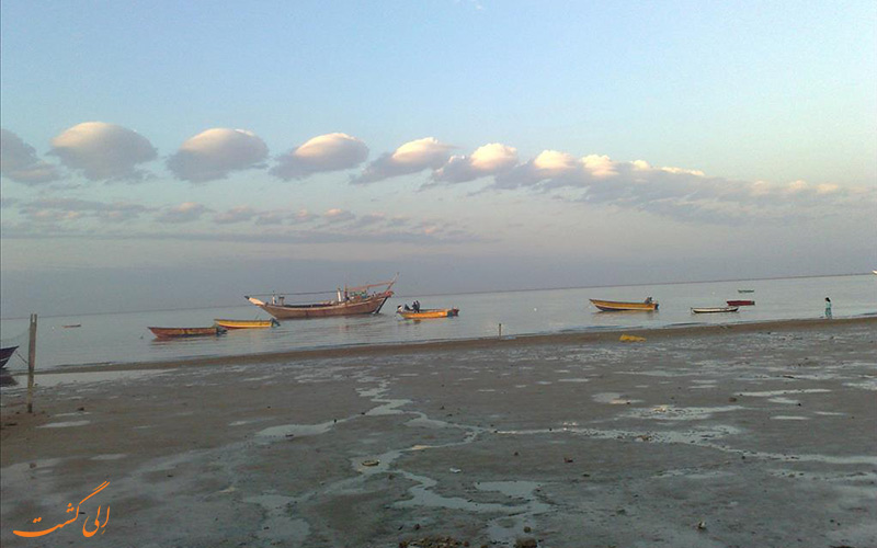 جزیره ای در بوشهر جزیره ای در بوشهر