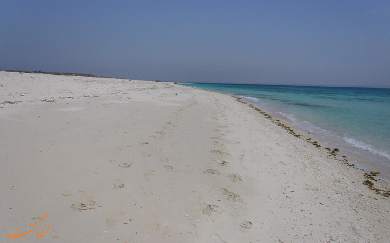 ساحل جزیره شتور